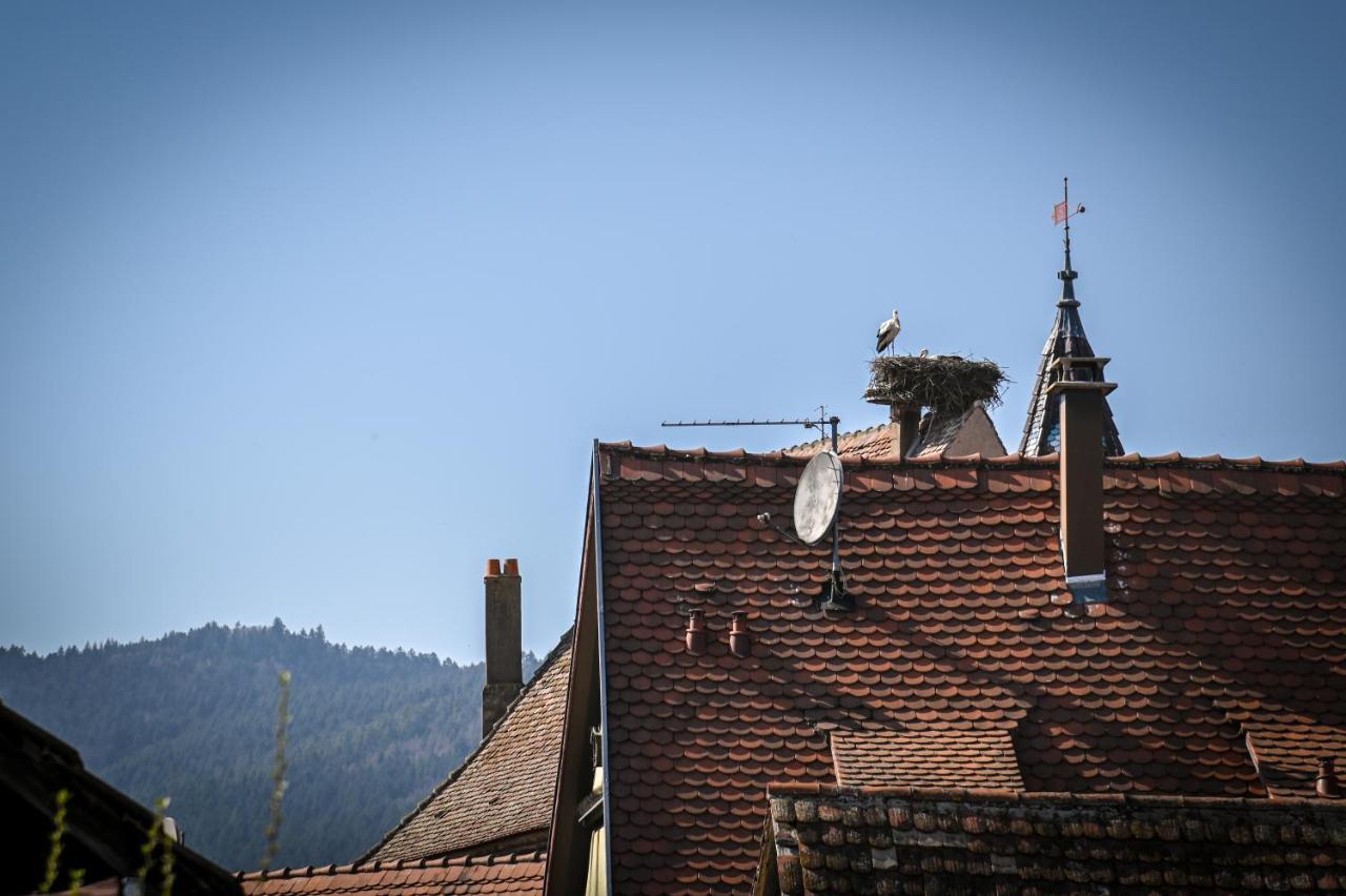 Le Hameau d'Eguisheim - Chambres d'hôtes&Gîtes Exterior foto